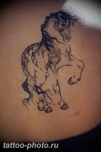 фото тату лошадь 24.12.2018 №536 - photo horse tattoo - tattoo-photo.ru