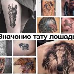 Значение тату лошадь - информация и фото примеры рисунка татуировки