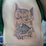 фото неудачной тату (партак) 23.12.2018 №027 - photo unsuccessful tattoo - tattoo-photo.ru