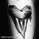 фото тату зуб 23.12.2018 №074 - photo tattoo tooth - tattoo-photo.ru