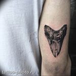 фото тату зуб 23.12.2018 №095 - photo tattoo tooth - tattoo-photo.ru