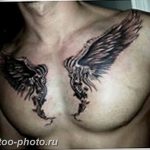 фото тату крылья 23.12.2018 №002 - photo tattoo wings - tattoo-photo.ru