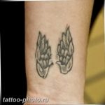 фото тату крылья 23.12.2018 №004 - photo tattoo wings - tattoo-photo.ru