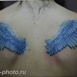 фото тату крылья 23.12.2018 №010 - photo tattoo wings - tattoo-photo.ru