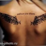 фото тату крылья 23.12.2018 №011 - photo tattoo wings - tattoo-photo.ru
