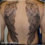 фото тату крылья 23.12.2018 №016 - photo tattoo wings - tattoo-photo.ru