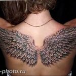фото тату крылья 23.12.2018 №025 - photo tattoo wings - tattoo-photo.ru