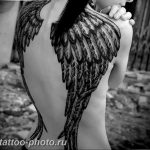 фото тату крылья 23.12.2018 №036 - photo tattoo wings - tattoo-photo.ru