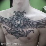 фото тату крылья 23.12.2018 №040 - photo tattoo wings - tattoo-photo.ru