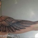 фото тату крылья 23.12.2018 №041 - photo tattoo wings - tattoo-photo.ru