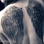 фото тату крылья 23.12.2018 №051 - photo tattoo wings - tattoo-photo.ru
