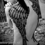 фото тату крылья 23.12.2018 №070 - photo tattoo wings - tattoo-photo.ru