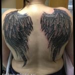 фото тату крылья 23.12.2018 №075 - photo tattoo wings - tattoo-photo.ru