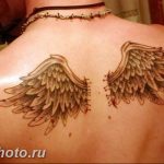 фото тату крылья 23.12.2018 №085 - photo tattoo wings - tattoo-photo.ru