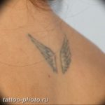 фото тату крылья 23.12.2018 №090 - photo tattoo wings - tattoo-photo.ru