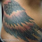фото тату крылья 23.12.2018 №093 - photo tattoo wings - tattoo-photo.ru
