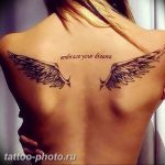 фото тату крылья 23.12.2018 №107 - photo tattoo wings - tattoo-photo.ru