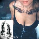 фото тату крылья 23.12.2018 №119 - photo tattoo wings - tattoo-photo.ru