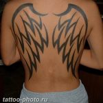 фото тату крылья 23.12.2018 №147 - photo tattoo wings - tattoo-photo.ru