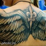 фото тату крылья 23.12.2018 №156 - photo tattoo wings - tattoo-photo.ru