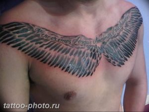 фото тату крылья 23.12.2018 №159 - photo tattoo wings - tattoo-photo.ru