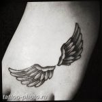 фото тату крылья 23.12.2018 №175 - photo tattoo wings - tattoo-photo.ru