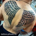 фото тату крылья 23.12.2018 №178 - photo tattoo wings - tattoo-photo.ru