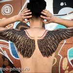 фото тату крылья 23.12.2018 №190 - photo tattoo wings - tattoo-photo.ru