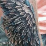 фото тату крылья 23.12.2018 №192 - photo tattoo wings - tattoo-photo.ru