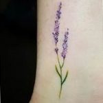 фото тату лаванда 24.12.2018 №003 - photo tattoo lavender - tattoo-photo.ru