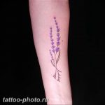 фото тату лаванда 24.12.2018 №025 - photo tattoo lavender - tattoo-photo.ru