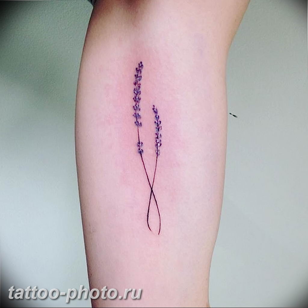 фото тату лаванда 24.12.2018 №027 - photo tattoo lavender - tattoo-photo.ru