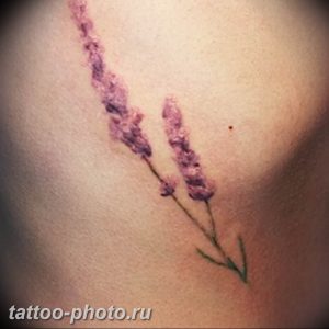 фото тату лаванда 24.12.2018 №028 - photo tattoo lavender - tattoo-photo.ru