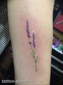 фото тату лаванда 24.12.2018 №036 - photo tattoo lavender - tattoo-photo.ru