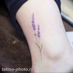 фото тату лаванда 24.12.2018 №039 - photo tattoo lavender - tattoo-photo.ru