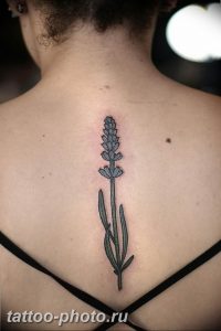 фото тату лаванда 24.12.2018 №041 - photo tattoo lavender - tattoo-photo.ru