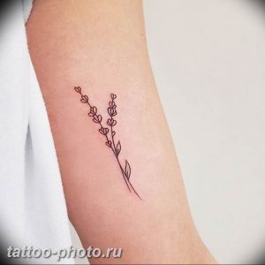 фото тату лаванда 24.12.2018 №051 - photo tattoo lavender - tattoo-photo.ru