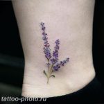 фото тату лаванда 24.12.2018 №052 - photo tattoo lavender - tattoo-photo.ru