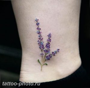 фото тату лаванда 24.12.2018 №052 - photo tattoo lavender - tattoo-photo.ru