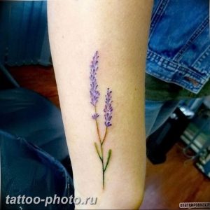 фото тату лаванда 24.12.2018 №059 - photo tattoo lavender - tattoo-photo.ru