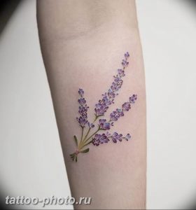 фото тату лаванда 24.12.2018 №060 - photo tattoo lavender - tattoo-photo.ru