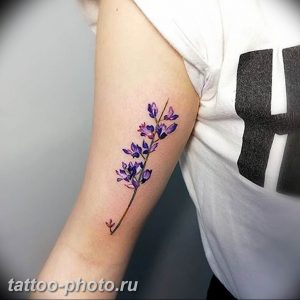 фото тату лаванда 24.12.2018 №066 - photo tattoo lavender - tattoo-photo.ru