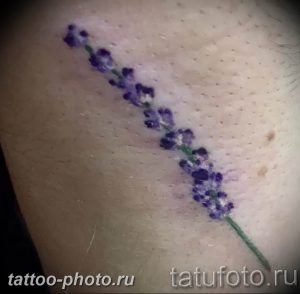 фото тату лаванда 24.12.2018 №069 - photo tattoo lavender - tattoo-photo.ru
