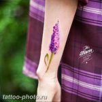фото тату лаванда 24.12.2018 №071 - photo tattoo lavender - tattoo-photo.ru