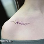 фото тату лаванда 24.12.2018 №074 - photo tattoo lavender - tattoo-photo.ru