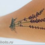 фото тату лаванда 24.12.2018 №077 - photo tattoo lavender - tattoo-photo.ru