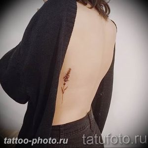 фото тату лаванда 24.12.2018 №085 - photo tattoo lavender - tattoo-photo.ru