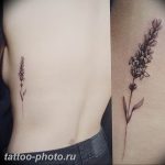 фото тату лаванда 24.12.2018 №099 - photo tattoo lavender - tattoo-photo.ru