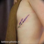 фото тату лаванда 24.12.2018 №101 - photo tattoo lavender - tattoo-photo.ru
