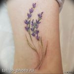 фото тату лаванда 24.12.2018 №115 - photo tattoo lavender - tattoo-photo.ru